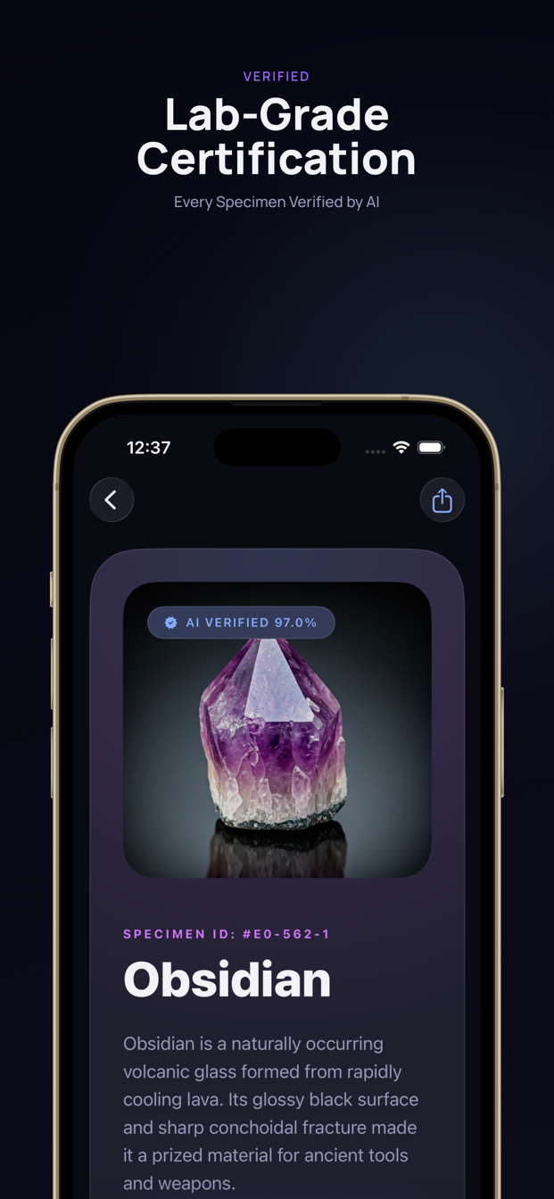 AS Rock ID database browser